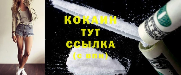 ешки Дмитриев