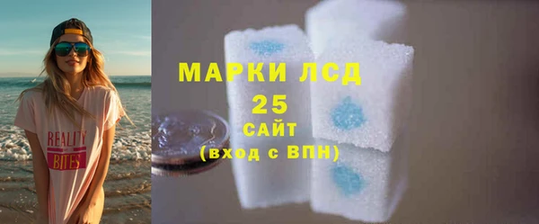 ECSTASY Ельня