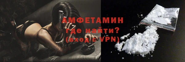 ECSTASY Ельня