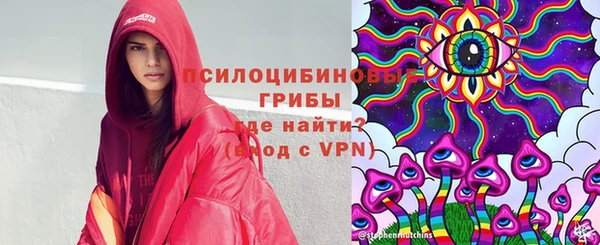 PSILOCYBIN Дмитров