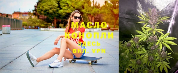 ECSTASY Ельня