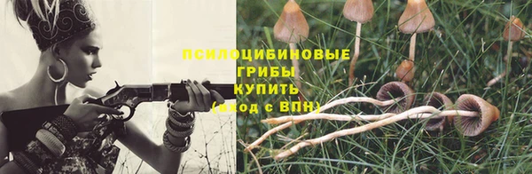 ешки Дмитриев