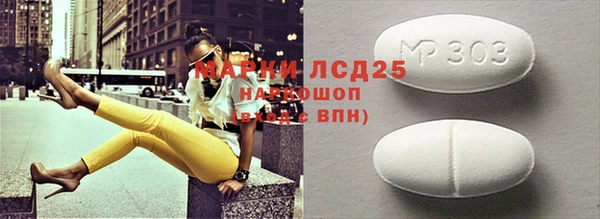 ECSTASY Ельня