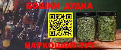 шишки Гусев