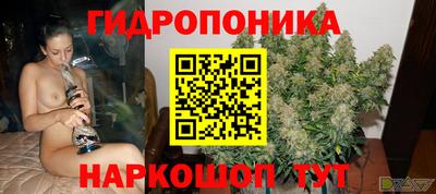 a pvp Гусь-Хрустальный
