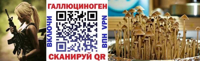 Галлюциногенные грибы мицелий Магадан