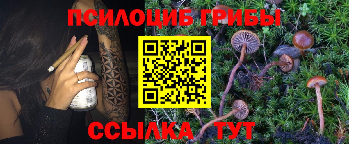 Псилоцибиновые грибы Psilocybine cubensis  Вход с VPN  Магадан 