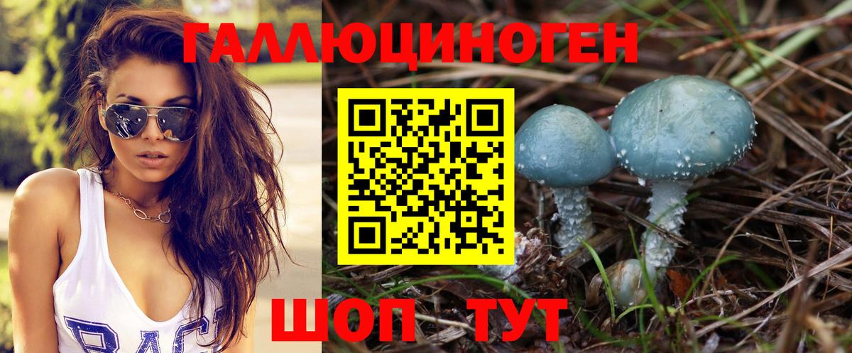 Галлюциногенные грибы мухоморы Магадан